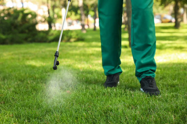 Best Rat Extermination Near Me  in Green Park, MO