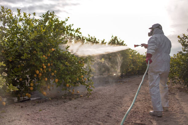 Best Exterminator Services  in Green Park, MO