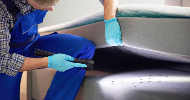 Best Bed Bug Extermination  in Green Park, MO