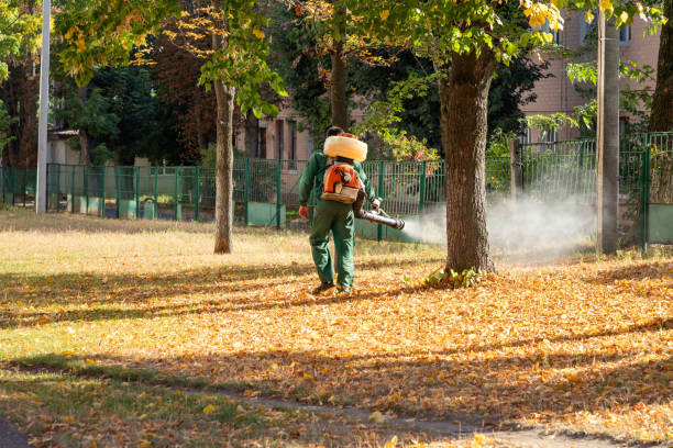 Reliable Green Park, MO Pest Control Solutions