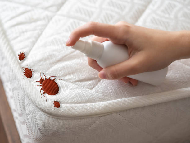 Best Pest Inspection Near Me  in Green Park, MO