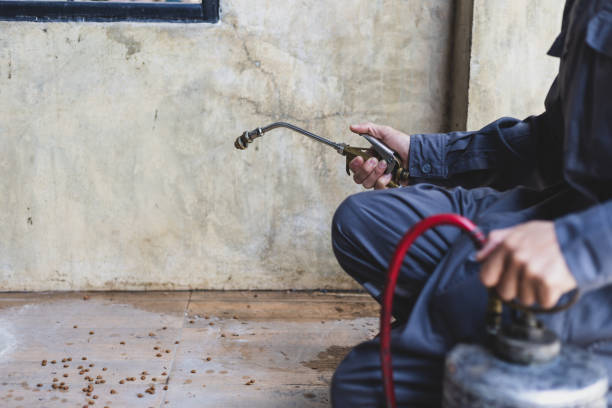 Best Best Pest Control Companies  in Green Park, MO